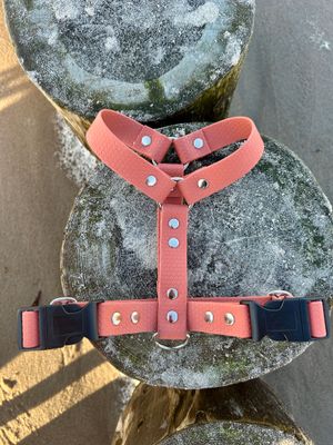 Szelki guard 25mm (rozmiar M,L,XL)