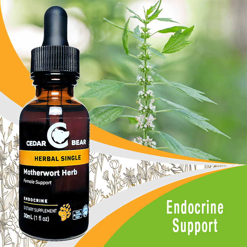 Motherwort Herb Glycerite