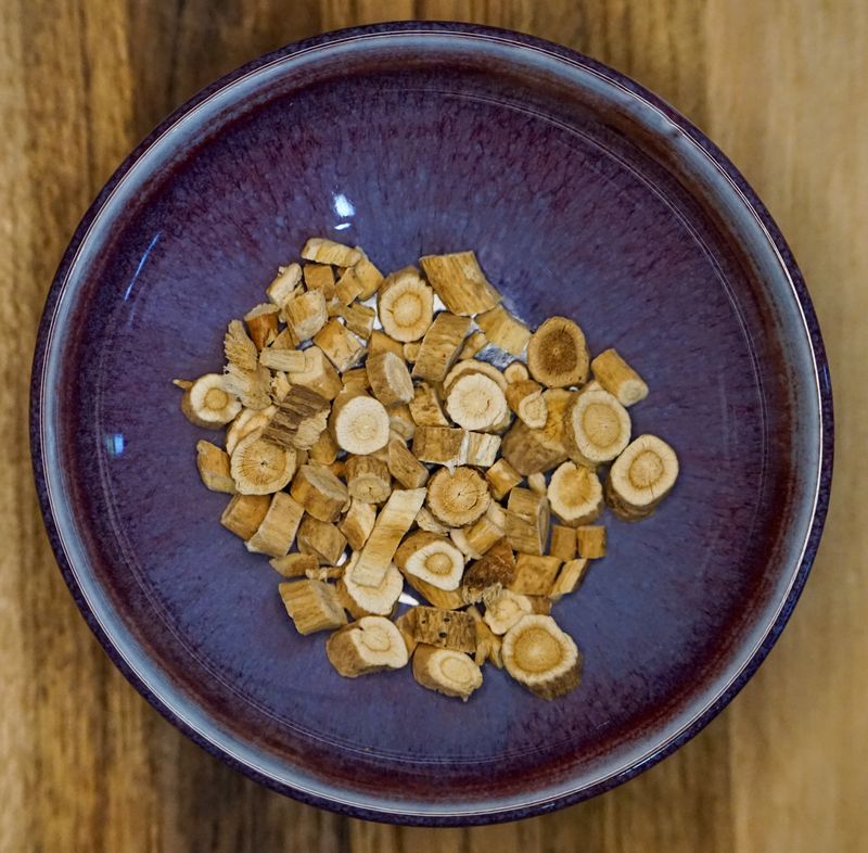 Astragalus