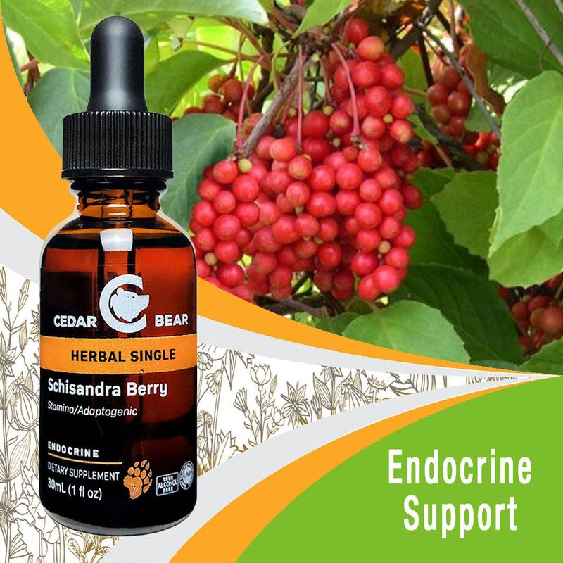 Schisandra Berry