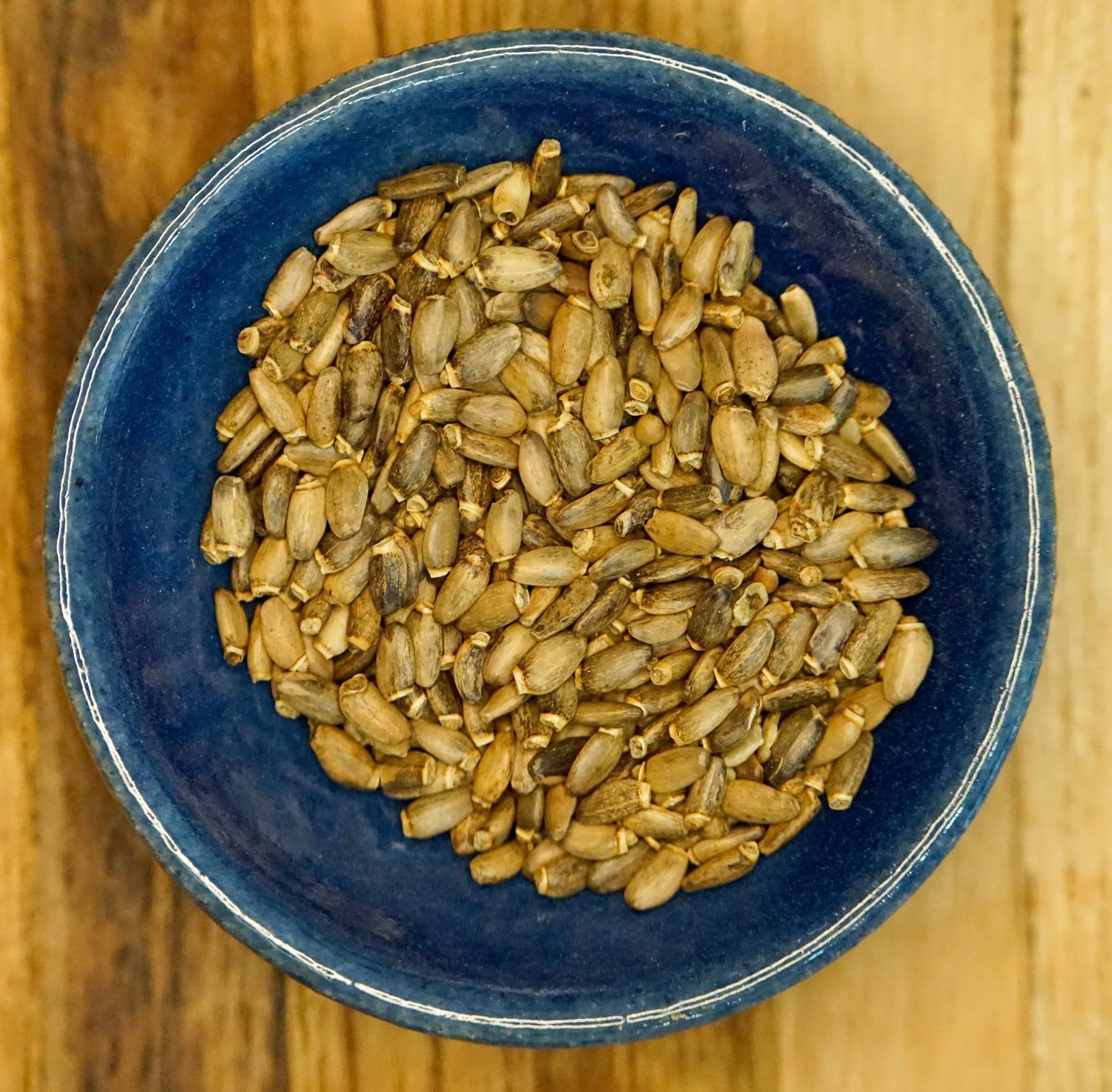 Milk Thistle seeds