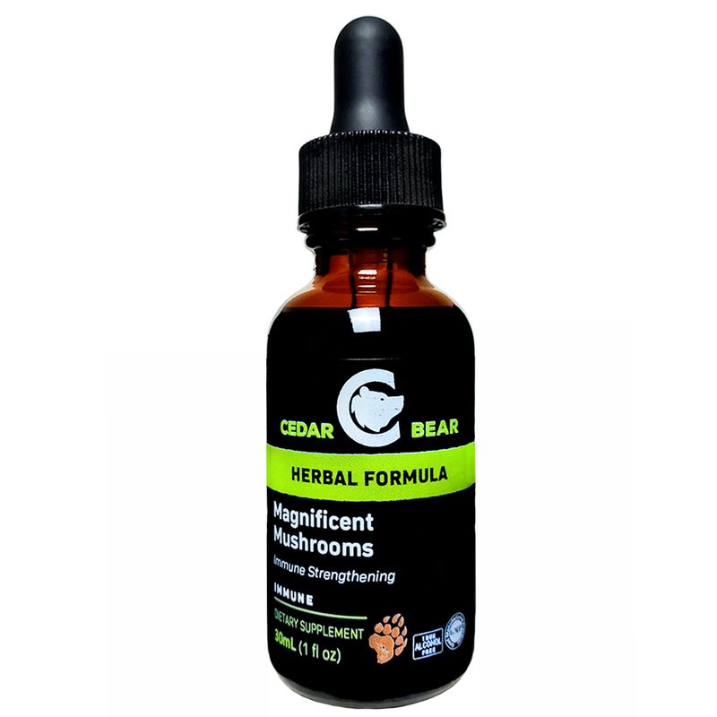 Magnificent Mushrooms Glycerite