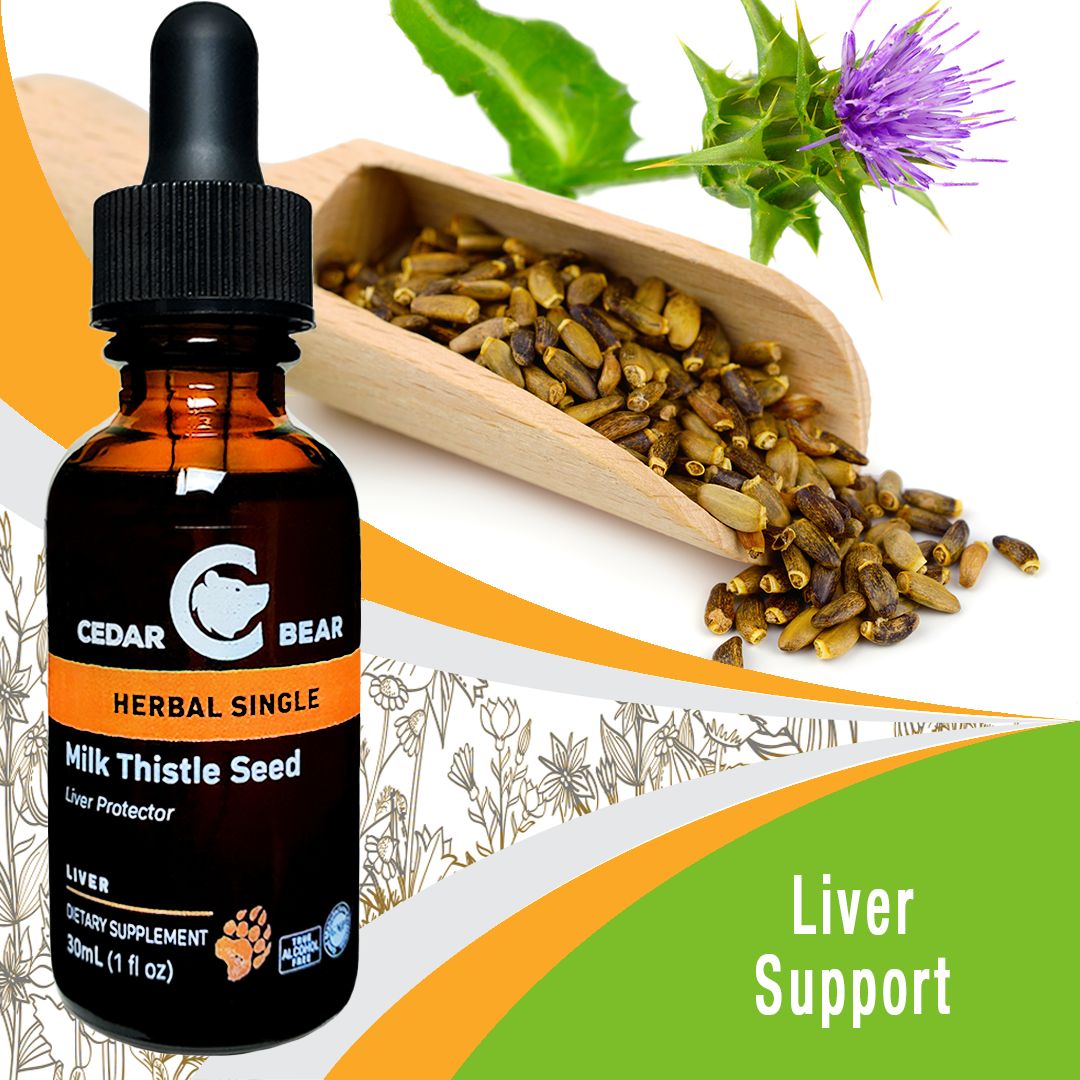 Milk Thistle Seed Milk Thistle Seed