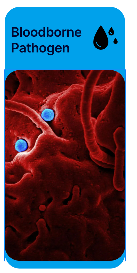 Blood-borne Pathogen