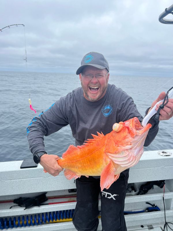 Bottom Fish - August