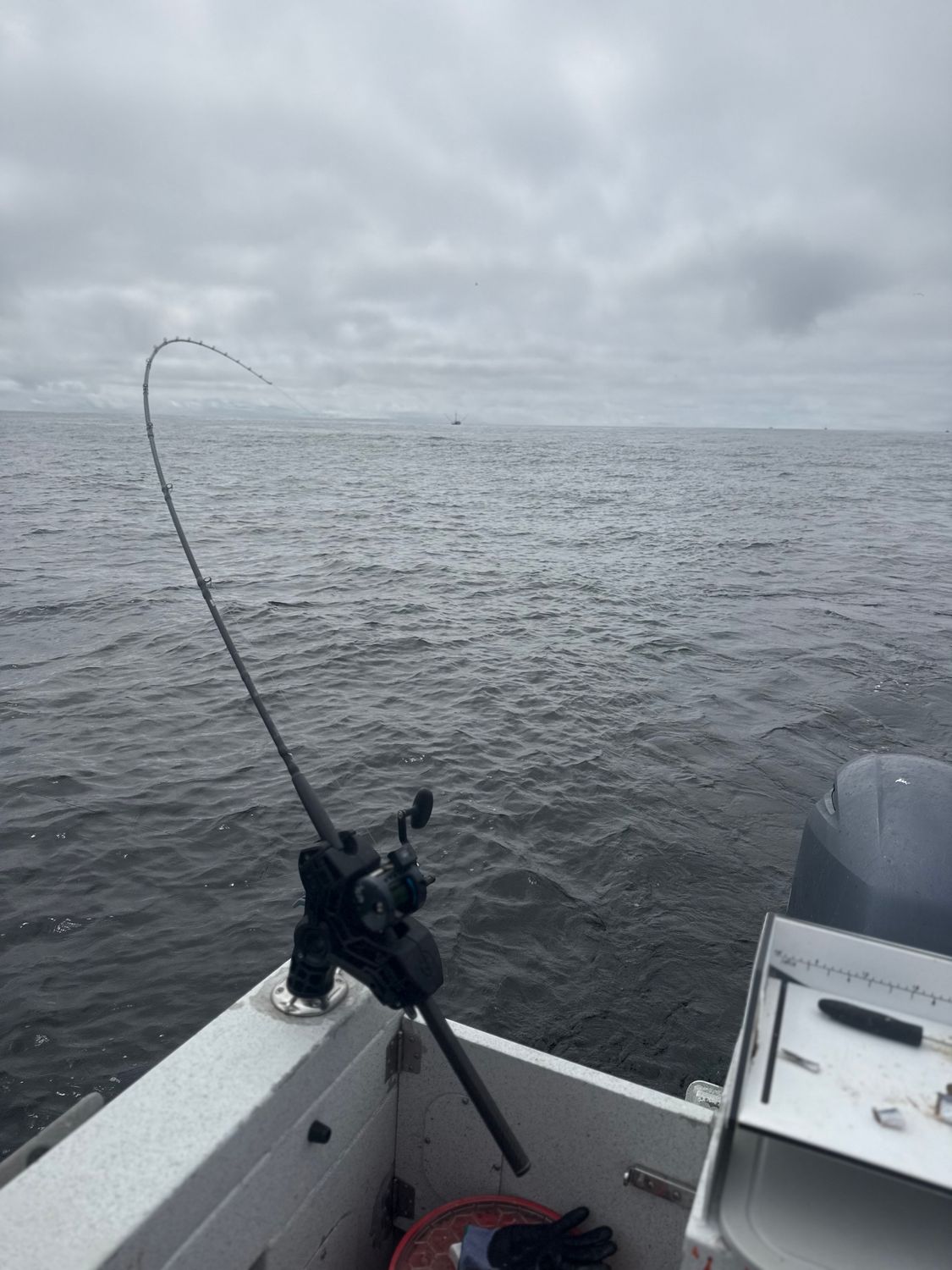 Salmon July 27th 2026