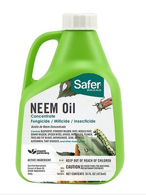 Safer Neem Oil Conc