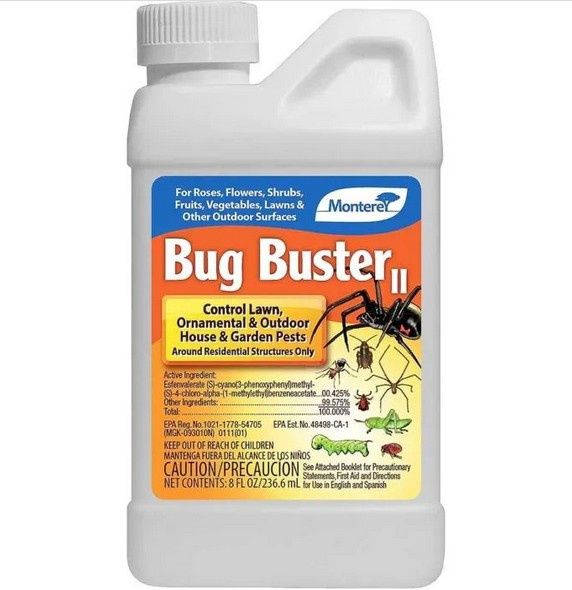 Bug Buster