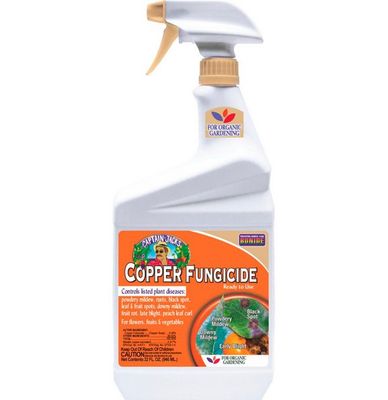 Copper Fungicide RTU