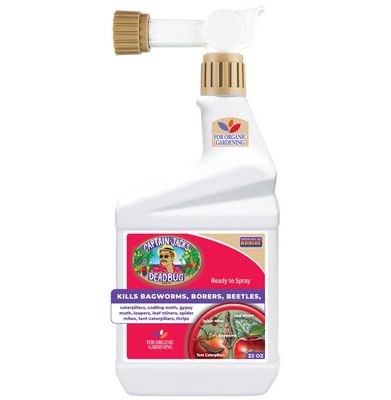 Captain Jacks Deadbug Brew