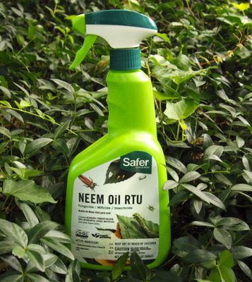 Safer Neem Oil RTU