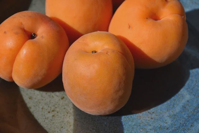 15g Katy Apricot