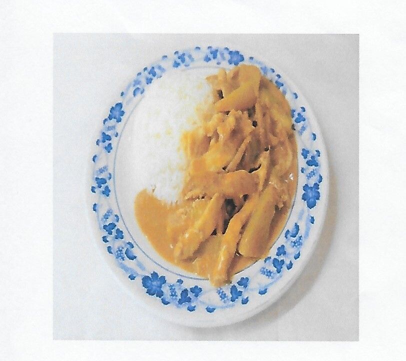 Riz avec poulet au curry massaman  (38)