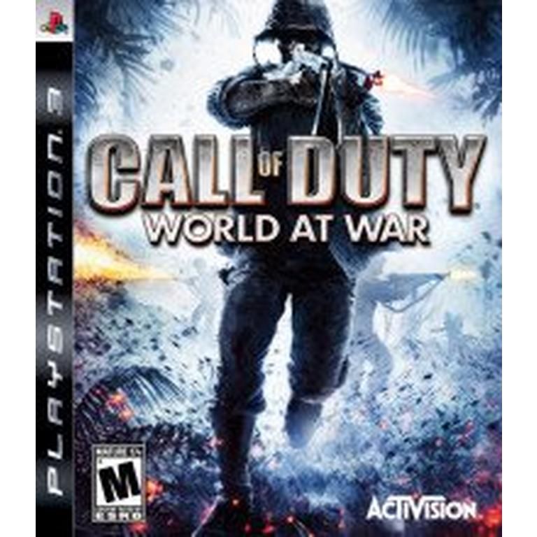 Call of Duty World at War CIB