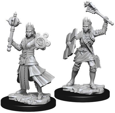 Dungeons &amp; Dragons Nolzur`s Marvelous Unpainted Miniatures: W8 Female Human Cleric