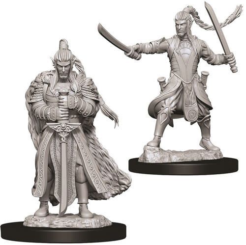 Dungeons &amp; Dragons Nolzur`s Marvelous Unpainted Miniatures: W9 Male Elf Paladin