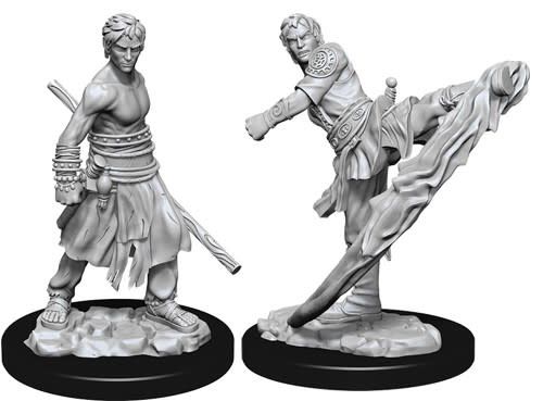 Dungeons &amp; Dragons Nolzur`s Marvelous Unpainted Miniatures: W10 Male Half-Elf Monk