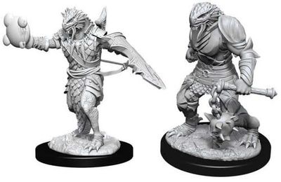 Dungeons &amp; Dragons Nolzur`s Marvelous Unpainted Miniatures: W11 Male Dragonborn Paladin