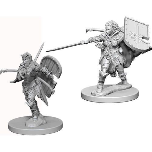 Pathfinder Deep Cuts Unpainted Miniatures: W1 Human Female Paladin