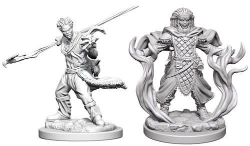 Dungeons &amp; Dragons Nolzur`s Marvelous Unpainted Miniatures: W3 Human Male Druid