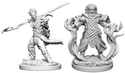 Dungeons &amp; Dragons Nolzur`s Marvelous Unpainted Miniatures: W3 Human Male Druid