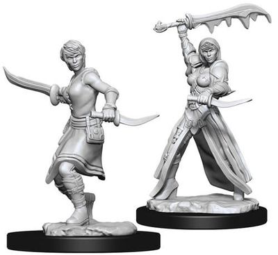 Dungeons &amp; Dragons Nolzur`s Marvelous Unpainted Miniatures: W10 Female Human Rogue