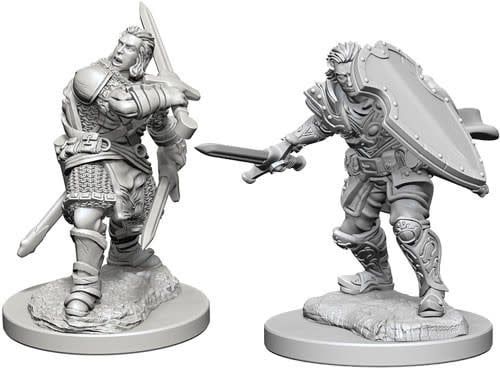 Dungeons &amp; Dragons Nolzur`s Marvelous Unpainted Miniatures: W3 Human Male Paladin