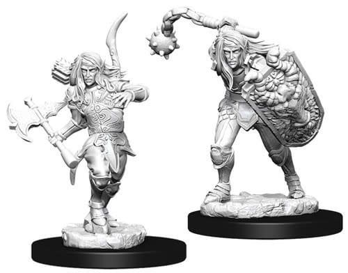 Pathfinder Deep Cuts Unpainted Miniatures: W6 Male Elf Fighter