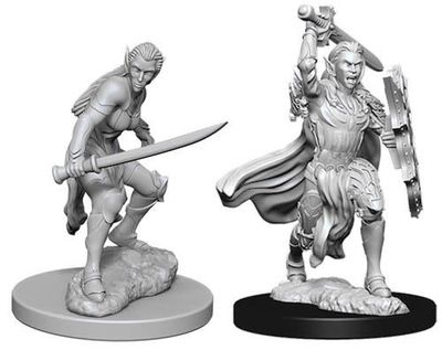 Dungeons &amp; Dragons Nolzur`s Marvelous Unpainted Miniatures: W6 Female Elf Fighter