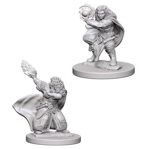 Dungeons &amp; Dragons Nolzur`s Marvelous Unpainted Miniatures: W4 Dwarf Female Wizard