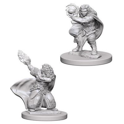 Dungeons &amp; Dragons Nolzur`s Marvelous Unpainted Miniatures: W4 Dwarf Female Wizard