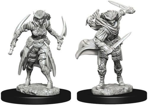 Dungeons &amp; Dragons Nolzur`s Marvelous Unpainted Miniatures: W7 Tiefling Female Rogue