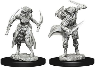 Dungeons &amp; Dragons Nolzur`s Marvelous Unpainted Miniatures: W7 Tiefling Female Rogue