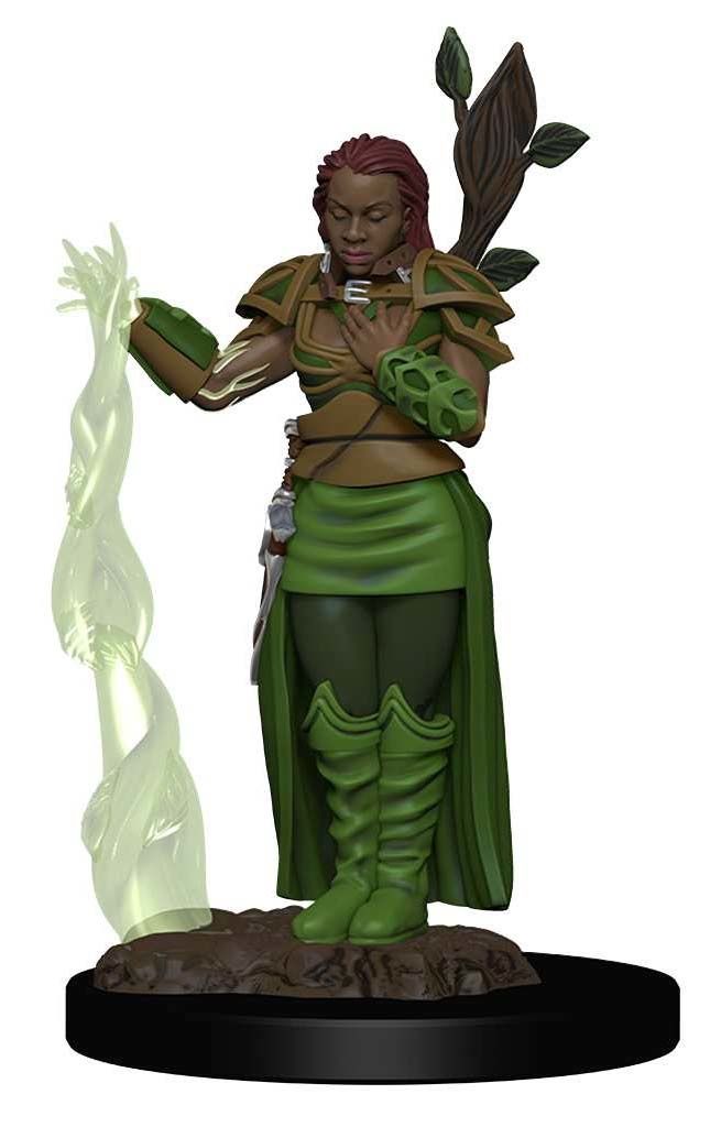 Dungeons &amp; Dragons Icons of the Realms Premium Figures: W2 Human Female Druid