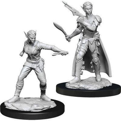 Dungeons &amp; Dragons Nolzur`s Marvelous Unpainted Miniatures: W13 Shifter Rogue Female