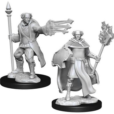 Dungeons &amp; Dragons Nolzur`s Marvelous Unpainted Miniatures: W13 Multiclass Cleric + Wizard Male