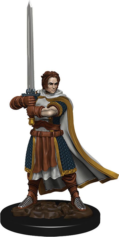 Dungeons &amp; Dragons Fantasy Miniatures: Icons of the Realms Premium Figures W4 Human Cleric Male