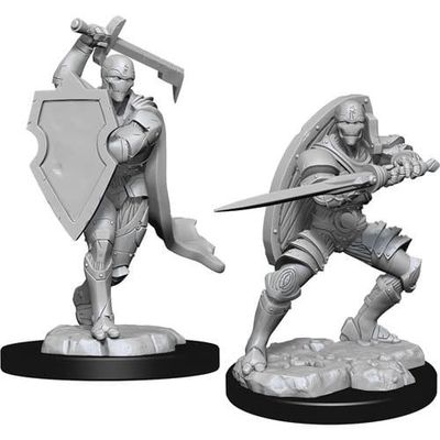 Dungeons &amp; Dragons Nolzur`s Marvelous Unpainted Miniatures: W13 Warforged Fighter Male