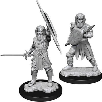Dungeons &amp; Dragons Nolzur`s Marvelous Unpainted Miniatures: W13 Human Fighter Male