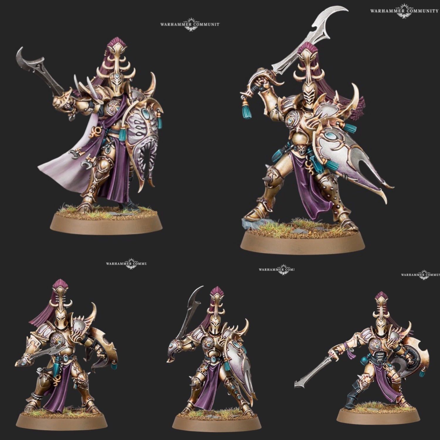 Hedonites: Myrmidesh Painbringers
