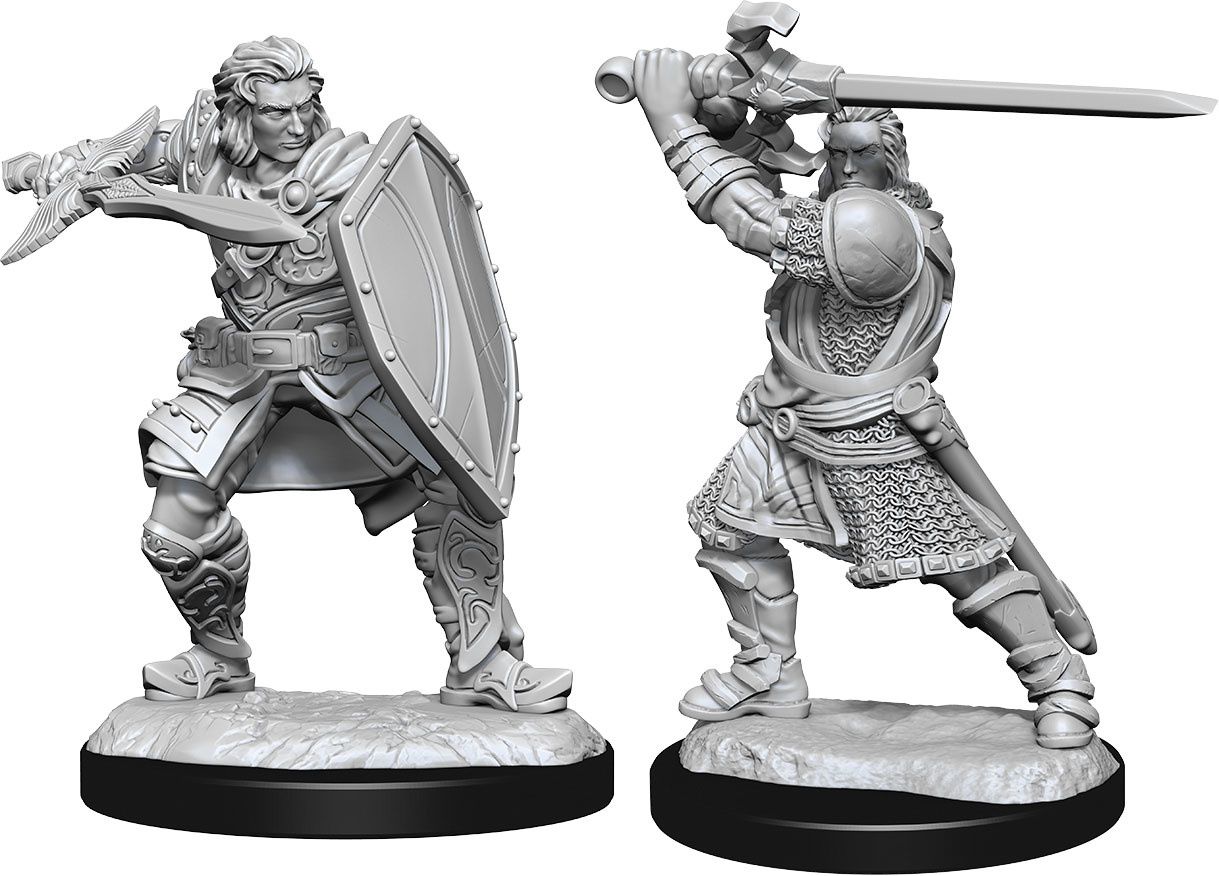 Dungeons &amp; Dragons Nolzur`s Marvelous Unpainted Miniatures: W14 Human Paladin Male