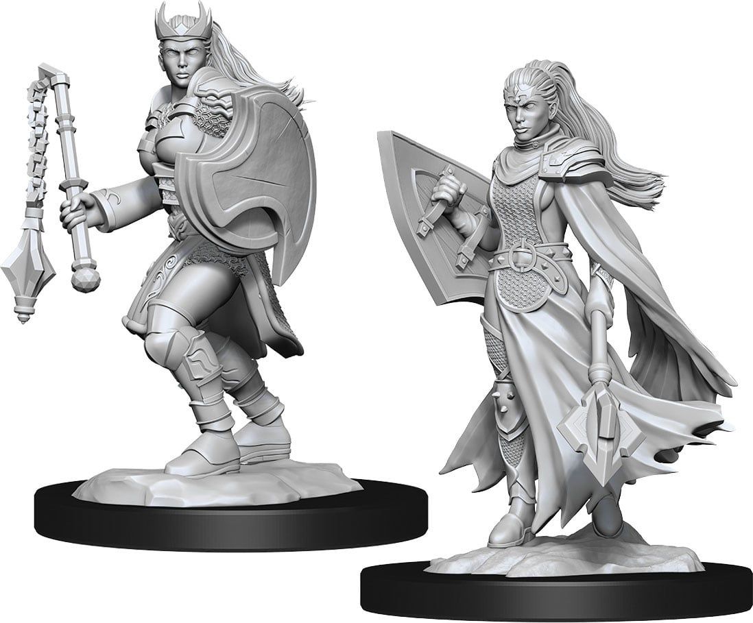 Dungeons &amp; Dragons Nolzur`s Marvelous Unpainted Miniatures: W14 Kalashtar Cleric Female