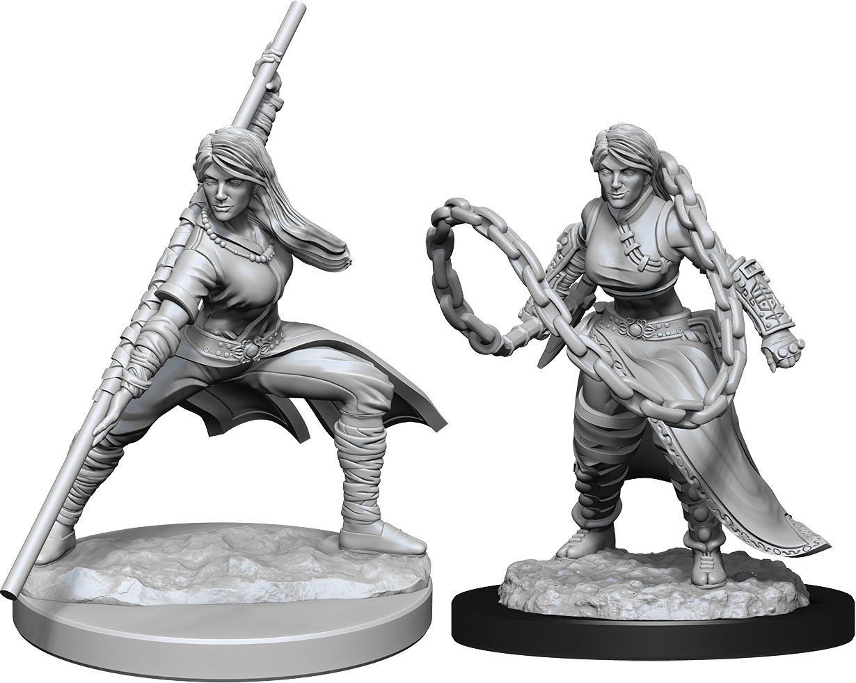 Dungeons &amp; Dragons Nolzur`s Marvelous Unpainted Miniatures: W14 Human Monk Female
