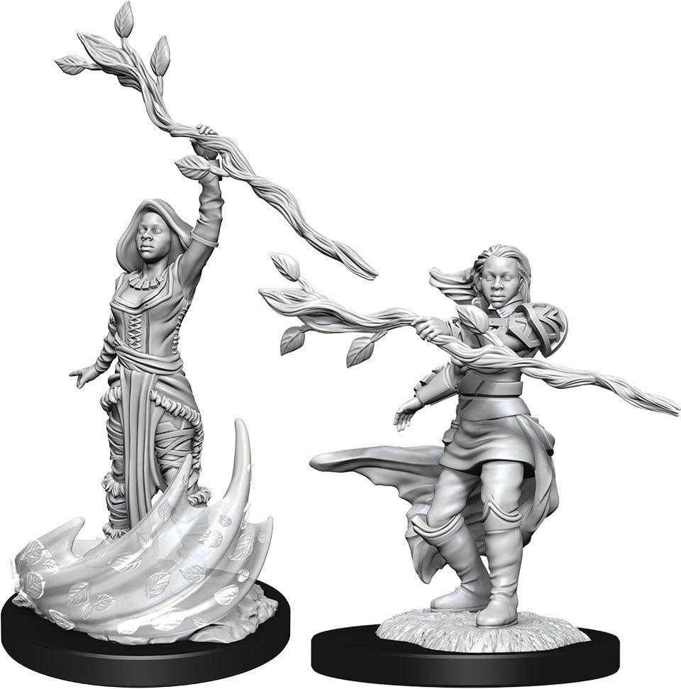 Dungeons &amp; Dragons Nolzur`s Marvelous Unpainted Miniatures: W14 Human Druid Female