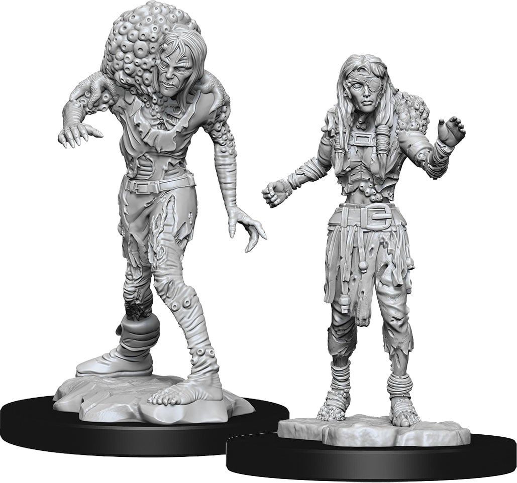 Dungeons &amp; Dragons Nolzur`s Marvelous Unpainted Miniatures: W14 Drowned Assassin &amp; Drowned Asetic