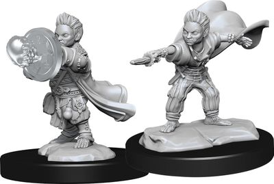Pathfinder Deep Cuts Unpainted Miniatures: W14 Halfling Wizard Mal