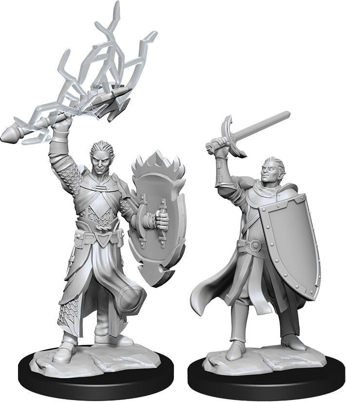 Dungeons &amp; Dragons Nolzur`s Marvelous Unpainted Miniatures: W14 Half-Elf Paladin Male