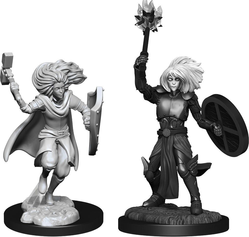 Dungeons &amp; Dragons Nolzur`s Marvelous Unpainted Miniatures: W14 Changeling Cleric Male