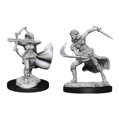 Dungeons &amp; Dragons Nolzur`s Marvelous Unpainted Miniatures: W15 Air Genasi Female