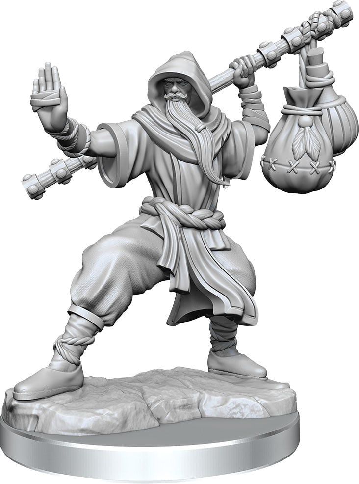 Dungeons &amp; Dragons Frameworks: W01 Human Monk Male